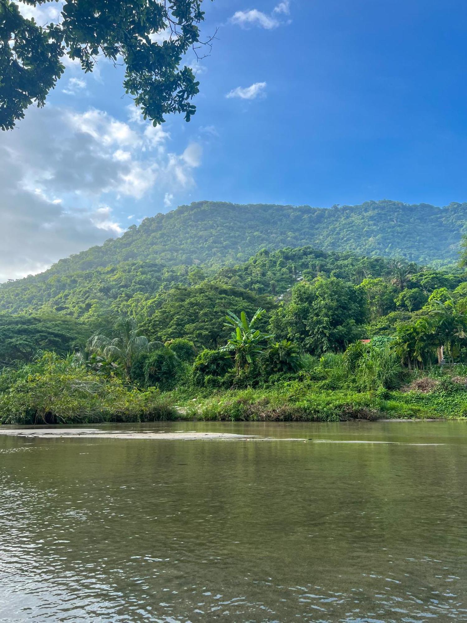Tayrona Cachaco River Ecohostal El Zaino Eksteriør bilde